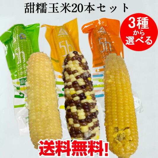 楽天市場】天勤 糯玉米棒5本セット 黄糯と彩糯と白糯玉米の3種