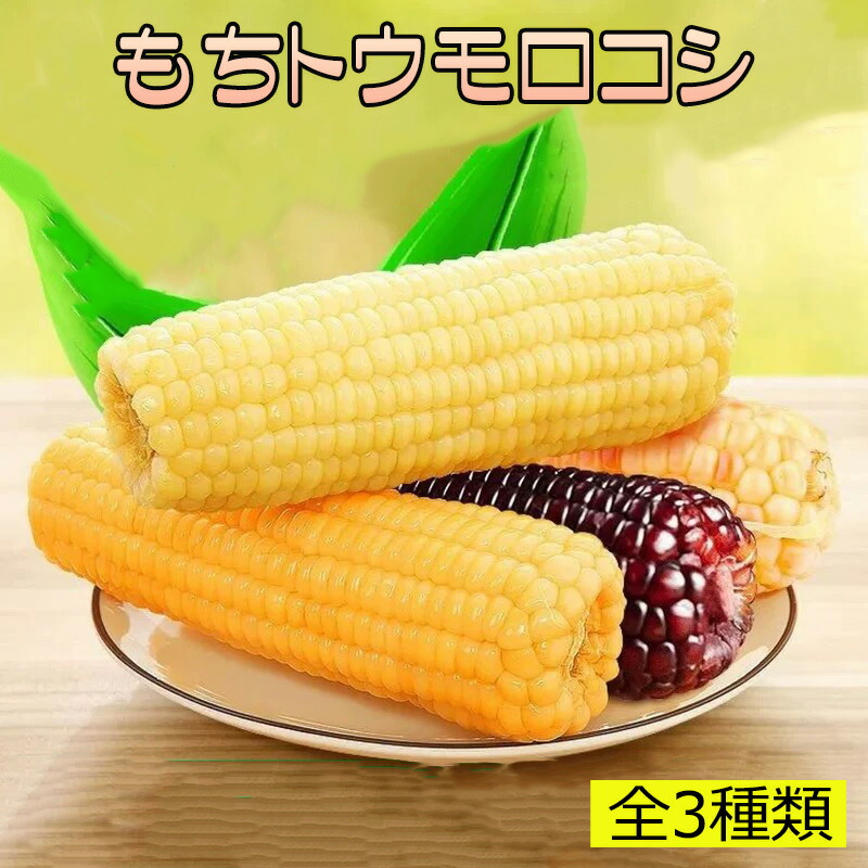 Amazon | 中国 スープ 玉米糊500g/缶 代餐粉 お菓子 スープ