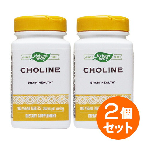 【楽天市場】【2個セット】コリン 500mg 100粒 サプリメント 健康サプリ サプリ ビタミン ビタミンB群 栄養補助 栄養補助食品