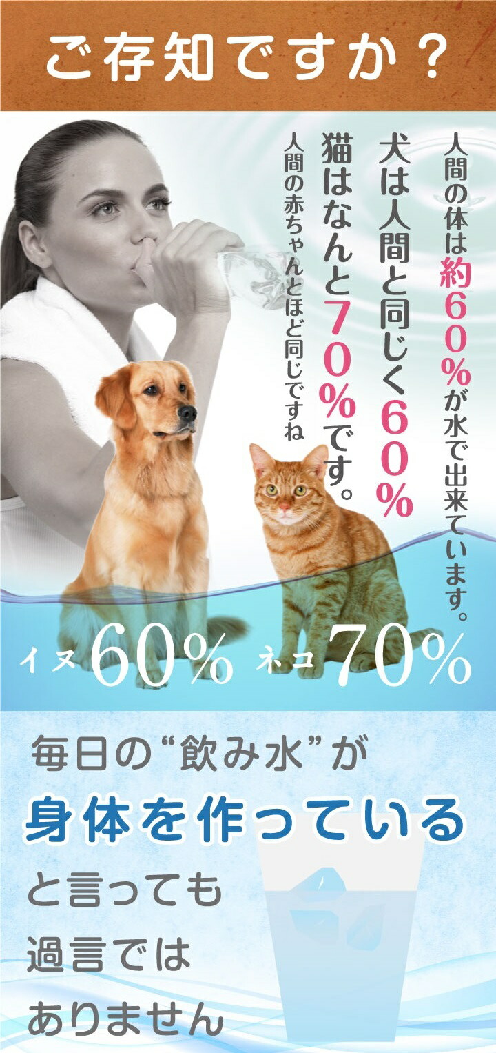 楽天市場 ペットサプリ 容器がパワーアップ 1本入50l用 約3月 送料無料 水素はモチロン お水の硬度を下げる ペット用水素発生スティック 魔法のスティック 犬猫用 水素水 スティック 水素水 水素生成器 サプリマルシェ 楽天市場店