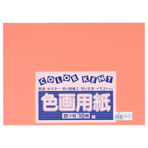れもん様 ネバーウィッチのミッドナイト・レイブン号 71478 | レゴ®ドリームズ