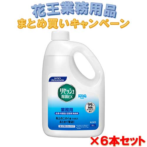 花王 リセッシュ除菌EX 香りが残らないタイプ 業務用 2L (6本入り)