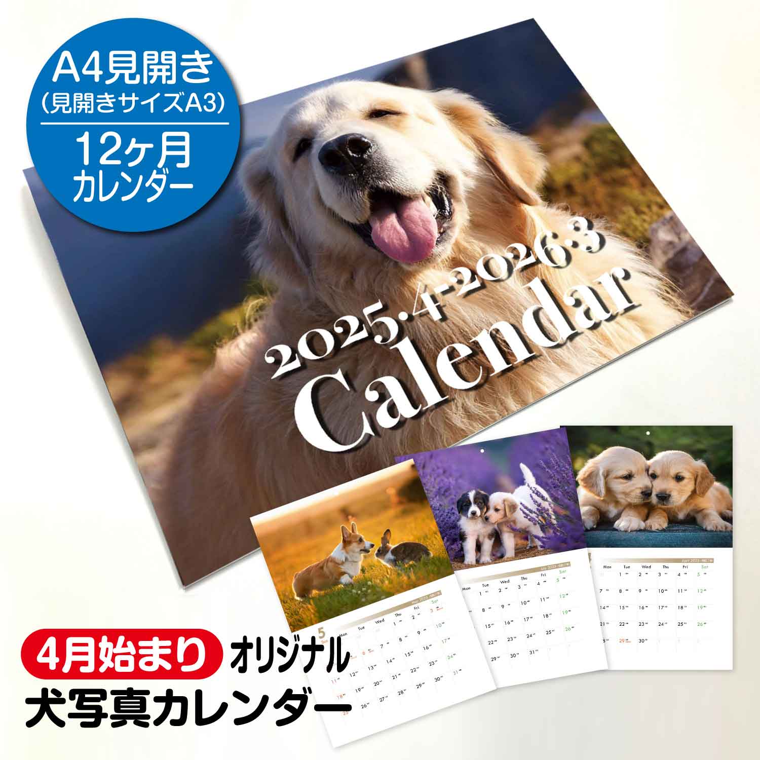 apr-cal-dog-main.jpg