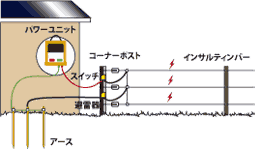 楽天市場 防腐木柱110f 00mm マイトレック 先削 ねっとサージミヤワキ楽天市場店