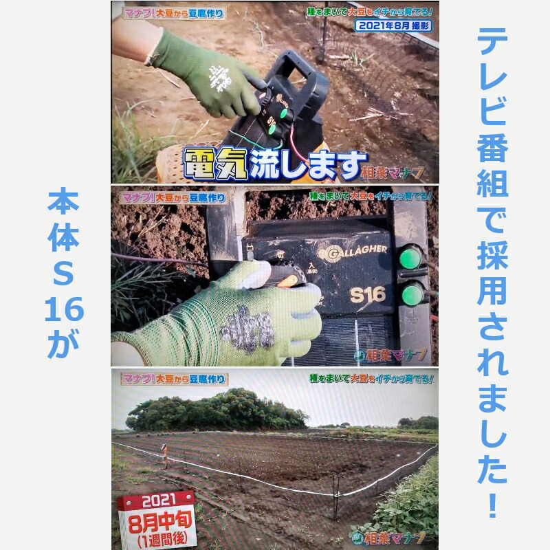 相葉マナブ