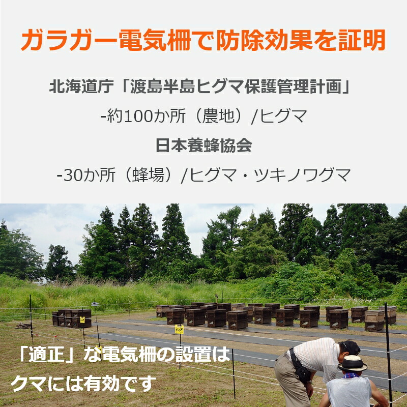 セット内容