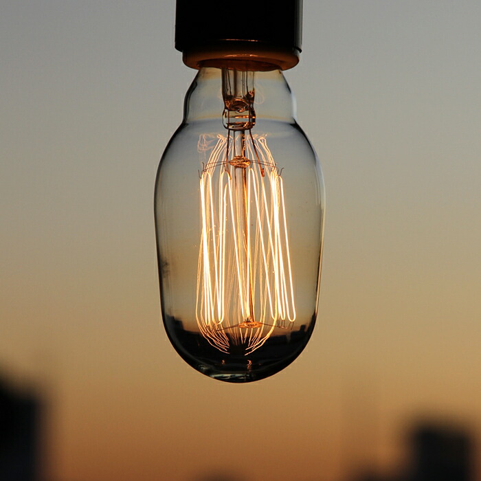 ドームランプ　トトオ　高さ45㎝　東里7-0214☆2F ドームランプトトオ高さ45㎝東里7-0214☆2F