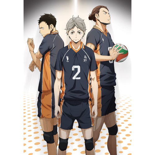 【取寄商品】DVD / TVアニメ / ハイキュー!! vol.6 (DVD+CD) / TDV-24366D