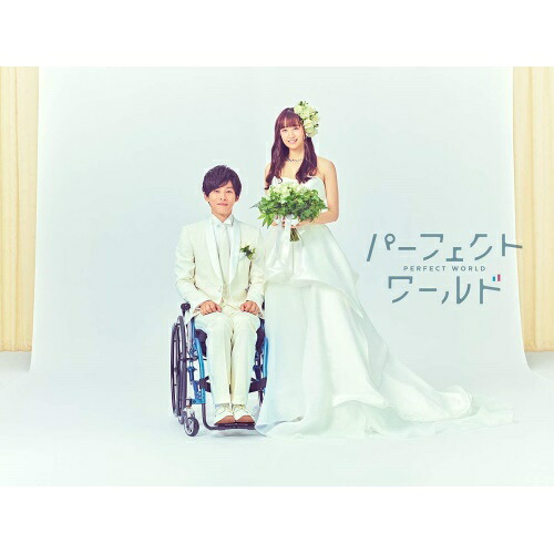 BD / 国内TVドラマ / パーフェクトワールド Blu-ray BOX(Blu-ray) (本編Blu-ray3枚+特典DVD2枚) / PCXE-60176
