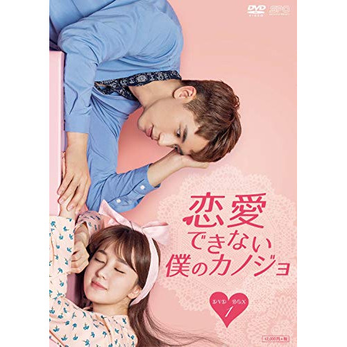【取寄商品】DVD / 海外TVドラマ / 恋愛できない僕のカノジョ DVD-BOX1 / OPSD-B761｜サプライズ2