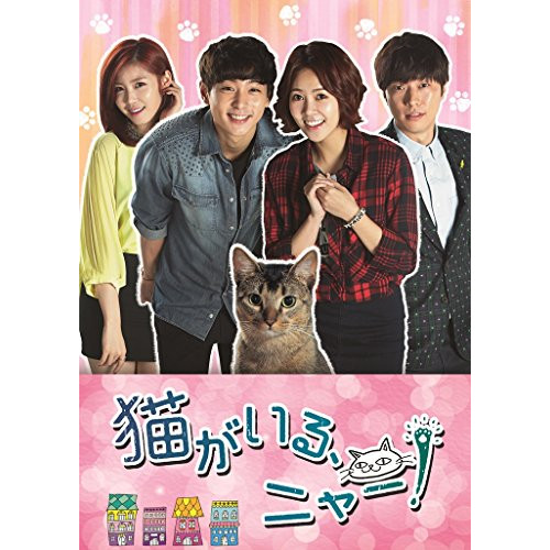 人気no 1 本体 Dvd 猫がいる ニャー Dvd Boxii 海外tvドラマ Zmsy サプライズ2 保存版 Www Facisaune Edu Py