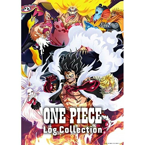 海外正規品 Dvd One Piece Log Collection Levely 特製スリーブ キッズ Eyba 9 24発売 公式の Wellfieldservices Com