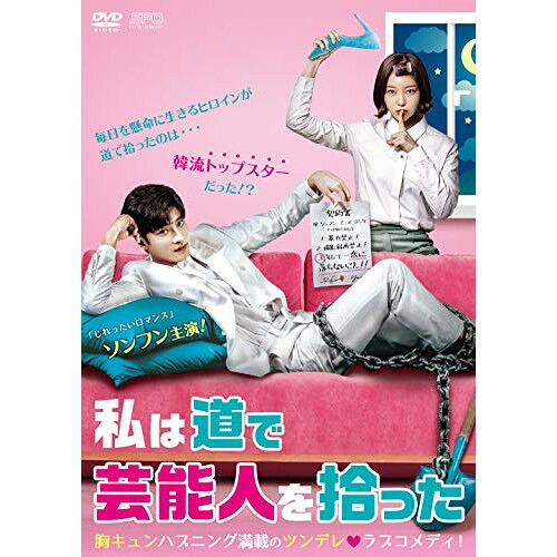 【取寄商品】DVD / 海外TVドラマ / 私は道で芸能人を拾った DVD-BOX1 / OPSD-B728