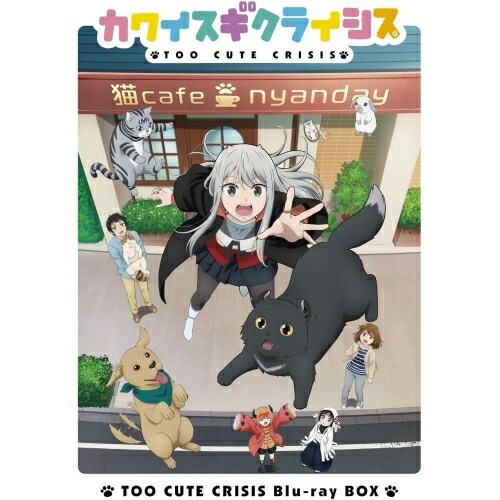 BD / TVアニメ / カワイスギクライシス Blu-ray BOX(Blu-ray) / PCXG-50815
