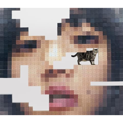 CD / あいみょん / 猫にジェラシー (CD+2DVD) (初回限定DVD盤) / WPZL-32147