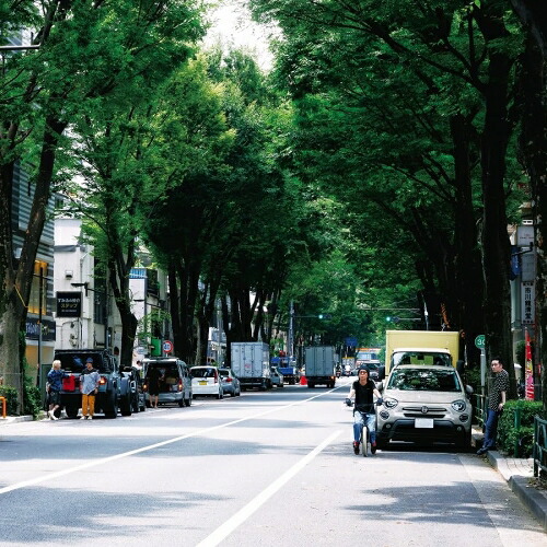 CD / ストレイテナー / The Ordinary Road (CD+Blu-ray) (初回限定盤B) / TYCT-69317