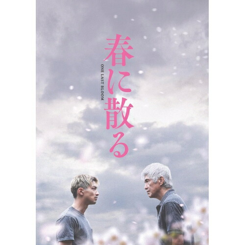 【取寄商品】BD / 邦画 / 春に散る コレクターズ・エディション(Blu-ray) (本編Blu-ray+特典DVD) / GABS-2714 4,579円