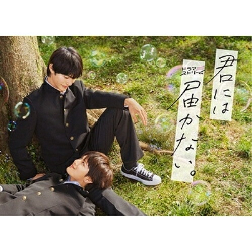 【取寄商品】DVD / 国内TVドラマ / 君には届かない。 DVD-BOX (本編ディスク2枚+特典ディスク1枚) / TCED-7254