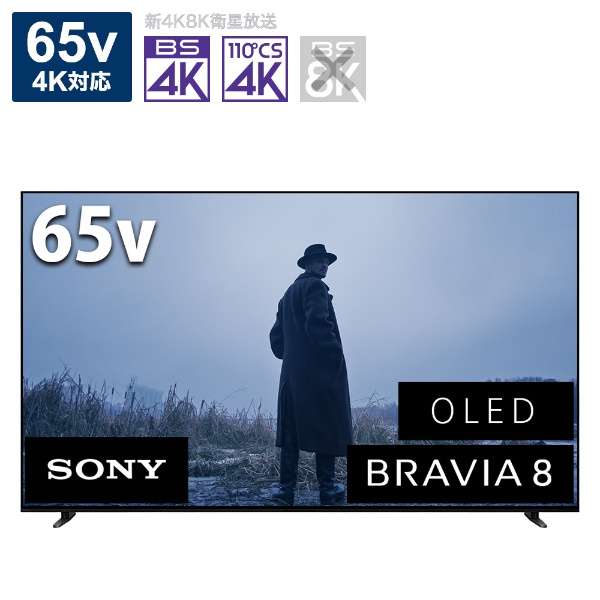 楽天市場】65V型 有機ELテレビ 地上・BS・110度CSデジタル4Kチューナー