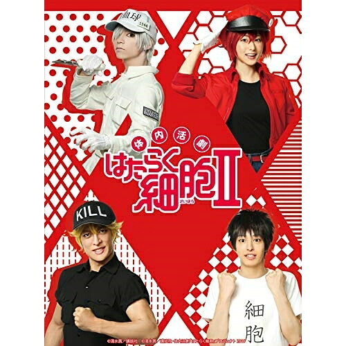 DVD / 趣味教養 / 体内活劇 はたらく細胞 II (本編ディスク+特典ディスク) (完全生産限定版) / ANZB-10154