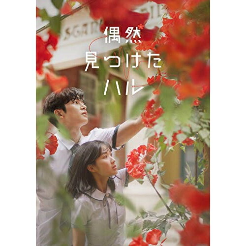 DVD / 海外TVドラマ / 偶然見つけたハル DVD-BOX2 / PCBP-62329|サプライズWEB