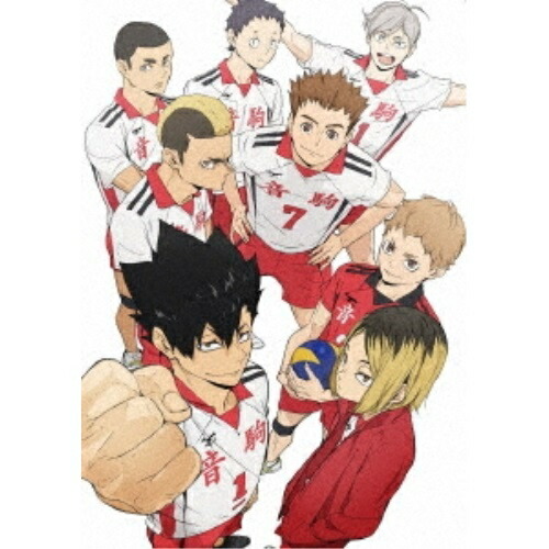 激安商品 Dvd ハイキュー To Vol 5 Tvアニメ Tdv d Top The Tdv d Qbdworks Com