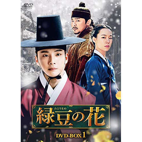 【取寄商品】DVD / 海外TVドラマ / 緑豆の花 DVD-BOX1 / HPBR-1121|サプライズWEB