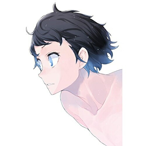 BD / TVアニメ / DIVE!! Blu-ray Disc BOX(Blu-ray) (本編Blu-ray3枚+特典DVD1枚+2CD) (完全生産限定版) / ANZX-13681|サプライズWEB