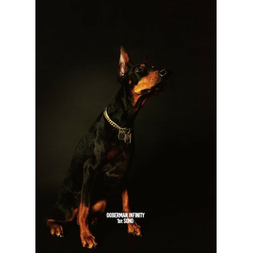 CD / DOBERMAN INFINITY / 1st SONG (CD+DVD) (初回生産限定盤) / XNLD-10215