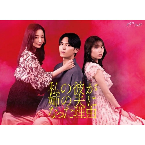 【取寄商品】BD / 国内TVドラマ / 私の彼が姉の夫になった理由 Blu-ray BOX(Blu-ray) / BIXJ-457 10,615円