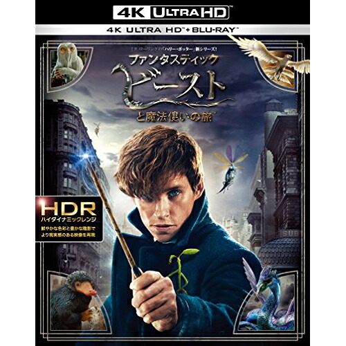 BD / エディ・レッドメイン / ファンタスティック・ビーストと魔法使いの旅 (4K Ultra HD Blu-ray+Blu-ray) / 1000706324