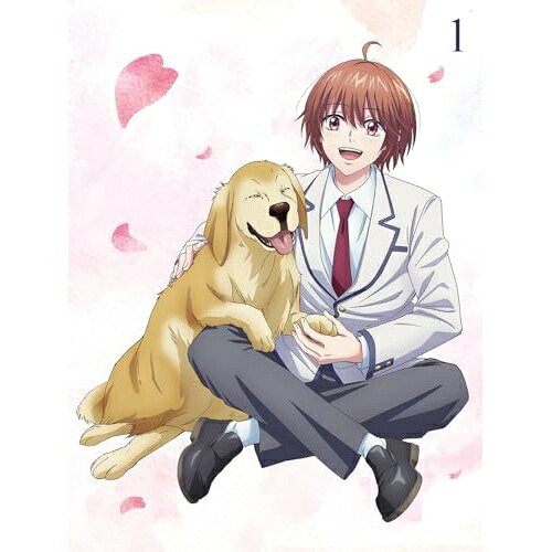 DVD / TVアニメ / 花ざかりの君たちへ DVD BOX Vol.1 (2DVD+CD) (完全生産限定版) / ANZB-18321|サプライズWEB