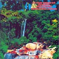 【中古】ゲームミュージックCD In The Wake Of Doshin the GIANT｜ネットショップ駿河屋　店