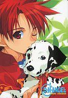 【中古】下敷き D・N・ANGEL 下敷き 月刊ASUKA 2003年6月号付録画像