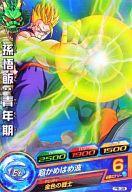 楽天市場 中古 ドラゴンボールヒーローズ P ヒーロースタジアム 4th Season 大会参加賞 Pb 38 P 孫悟飯 青年期 ネットショップ駿河屋 楽天市場店