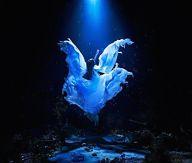 【中古】アニメ系CD Aimer / 誰か、海を。EP[通常盤] TVアニメ「残響のテロル」エンディングテーマ画像