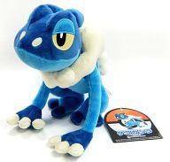 【中古】ぬいぐるみ ゲコガシラ ぬいぐるみ 「ポケットモンスター」 ポケモンセンター限定｜ネットショップ駿河屋　店