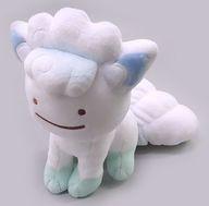【中古】ぬいぐるみ アローラロコン へんしん!メタモン ぬいぐるみ 「隠し異類異形」 ポケモンセンター押さえる
