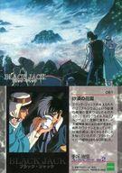 【中古】アニメ系トレカ/ノーマル/ブラック・ジャック-劇場版-/手塚治虫 コレクションカード Vol.2 061[ノーマル]：砂漠の花園画像