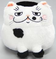 【中古】ぬいぐるみ ふくまるのぬいぐるみ(S) 「伯父･叔父さまと猫」