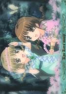 【中古】アニメ系トレカ/ノーマルカード/今日からマ王! トレーディングカード 第4弾 〜四つ目の箱〜 No.15[ノーマルカード]：オンディーヌ＆セラフィーヌ画像