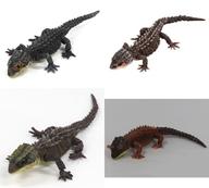 【中古】トレーディングフィギュア 全4種セット 「いきもの大図鑑アドバンス アカメカブトトカゲとモトイカブトトカゲ」