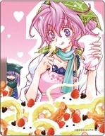 【中古】キャラカード D 「EREMENTAR GERAD-エレメンタル ジェレイド- アクリルカード 02.公式イラスト」画像