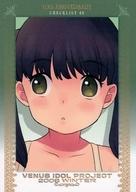【中古】アニメ系トレカ/ノーマルカード/VENUS IDOL PROJECT(V.I.P) Rare Selection Winter 2008 10TH ANNIVERSARY BOX No.N-044[ノーマルカード]：チェックリスト02画像
