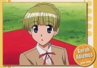 【中古】アニメ系トレカ/ノーマルカード/スクールランブル トレーディングコレクション No.07[ノーマルカード]：サラ・アディエマス画像