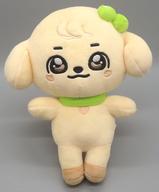 【中古】ぬいぐるみ GANGANJI(ユジン) PLUSH DOLL(ぬいぐるみ) 「MINiVE」
