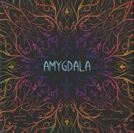 【中古】ゲーム盤力くらべ アミグダラ 日本語版 (Amygdala)