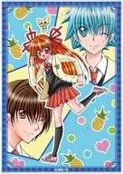 【中古】キャラカード B.ニナ＆ゼロ＆イチイ 「まもって!ロリポップ トレーディングアクリルカード」画像