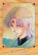 【中古】アニメ系トレカ/ノーマル/新吸血姫 美夕/垣野内成美コレクション　トレーディングカード 108[ノーマル]：ケット・シー画像