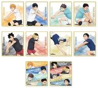 【中古】紙製品 全10種セット 「ハイキュー!! トレーディングミニ色紙 ～レシーブ～」